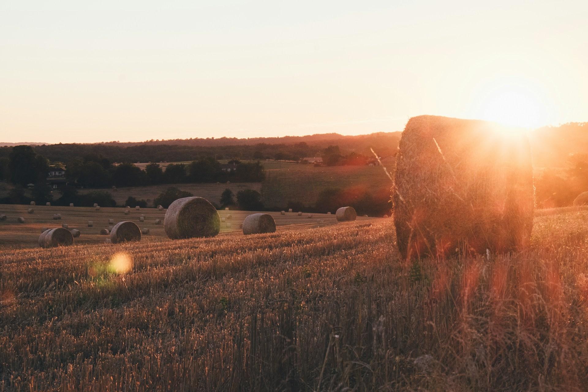 6 conseils de voyage durable pour les gourmands en France - background banner